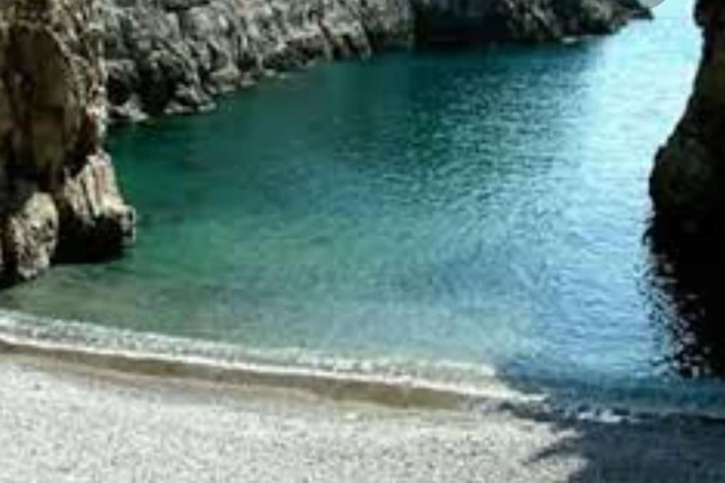 Green Apartment In Sorrento Coast Massa Lubrense Dış mekan fotoğraf